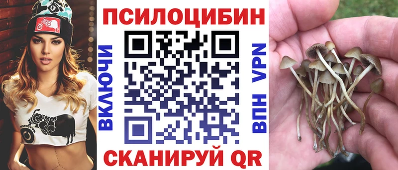 KRAKEN онион  где купить наркоту  Туапсе  Галлюциногенные грибы MAGIC MUSHROOMS 