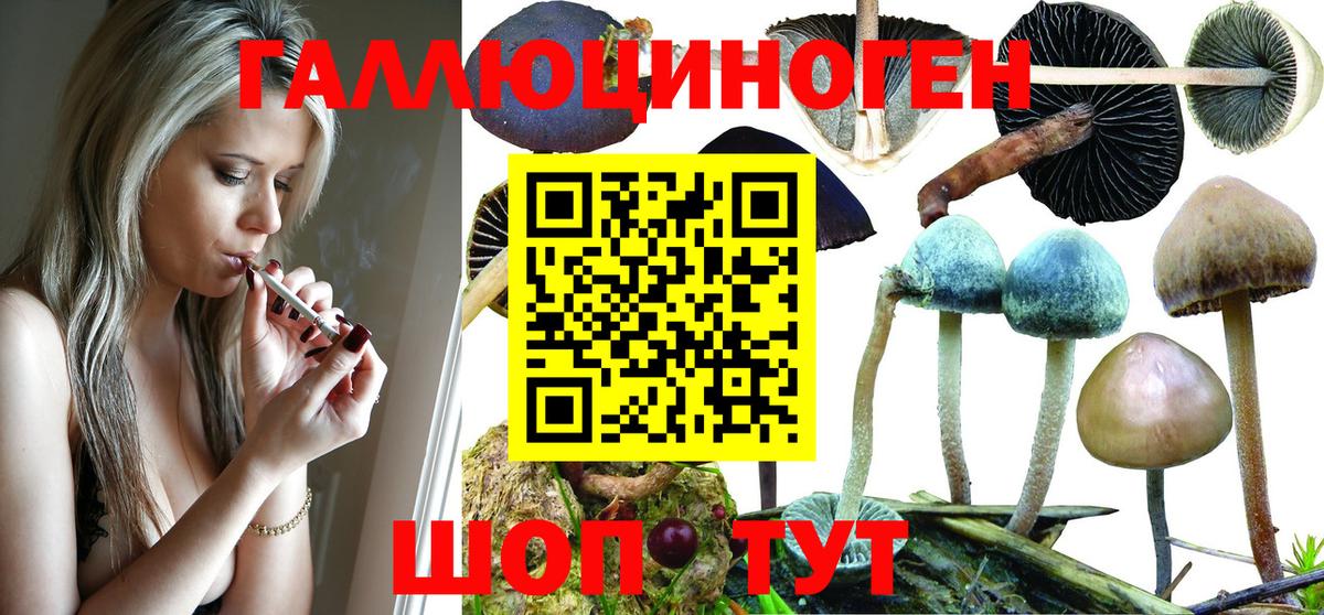 где можно купить наркотик  Псилоцибиновые грибы прущие грибы  Вход с VPN  Псилоцибиновые грибы ЛСД  Туапсе 