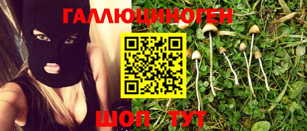 Галлюциногенные грибы GOLDEN TEACHER Туапсе